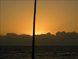 DSCN2582.jpg
