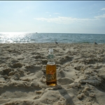 DSCN1729.jpg