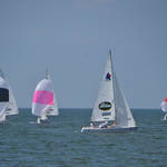 St Petersburg FL Races and Harbor 4-19-21-12 027.jpg