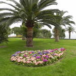 DSCN0825.JPG