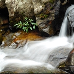 DSC_7187.jpg