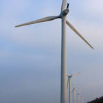 2012012916_57_500197.jpg