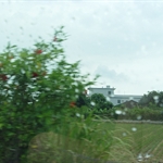 DSC01611.JPG