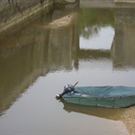 DSCN0114.JPG