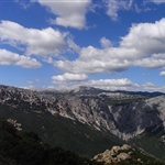 RIMG0168.JPG