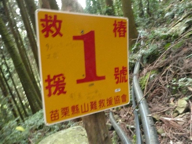 加里山 (4).JPG