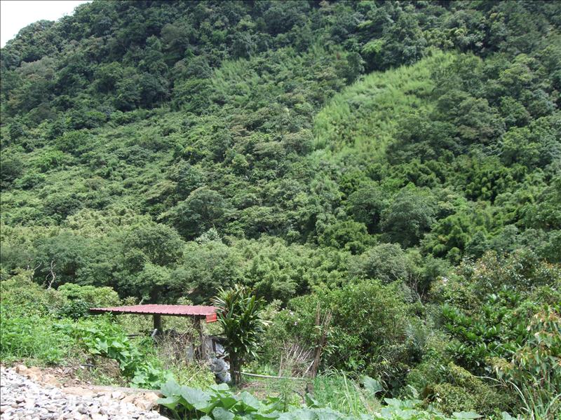 DSCF0453.JPG