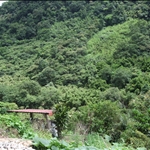 DSCF0453.JPG