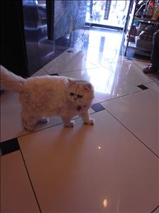 nEO_IMG_R0012864.jpg