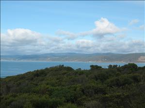 View of the Beach