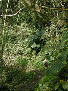 DSCN0429.jpg