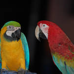 DSC_2620.jpg
