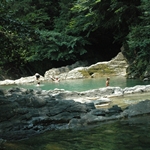 Korita