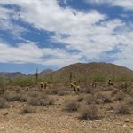 Desert