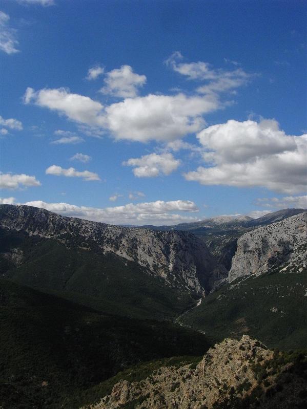 RIMG0164.JPG