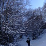 SAM_0472.JPG