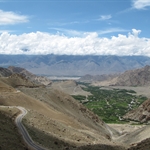 IMG_3537.jpg