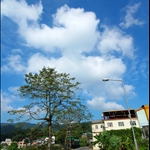 DSC_9103.jpg