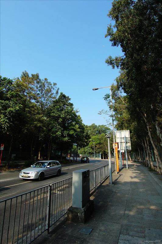 寶運路 Po Wan Road