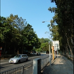 寶運路 Po Wan Road
