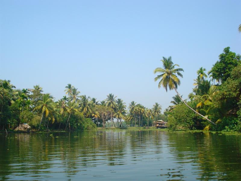 Alleppey Back Waters