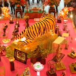 DSCN0311.JPG