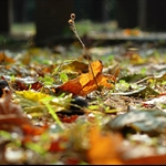 DSC_3514.jpg