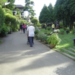 DSC03737.JPG
