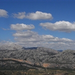 RIMG0156.JPG