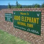 Wild Coast // Addo Elephant Park