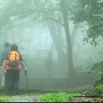 大帽山扶輪公園 Rotary Park, Tai Mo Shan