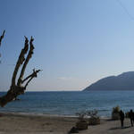DSCN4732.JPG
