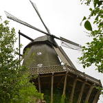 DSC_0066.JPG