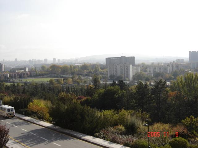 DSC00275.JPG