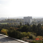 DSC00275.JPG