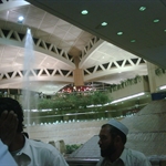IMG00766-20101110-0321.jpg