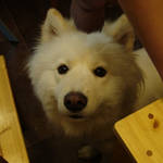 DSC00293.JPG