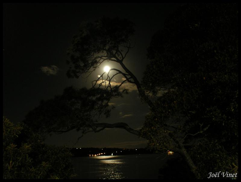 DSCN1569.jpg