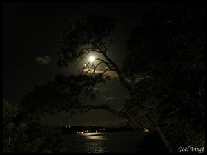 DSCN1569.jpg
