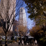 20091225-IMG_8839.jpg