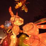 P1050059.JPG
