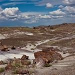 Petrified Forest National Park (Sept. 2010)