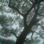 2006.07.08霧隱面天山