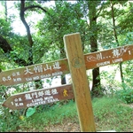 上川龍林道Chuen Lung Forest Track