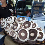 DSCF4166.jpg