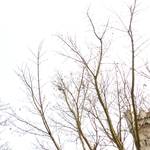 P1050368.JPG