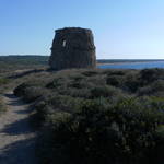 SAM_0083.JPG