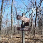 Intersection of the Tuscarora, Appalachian, Darlington Trails 