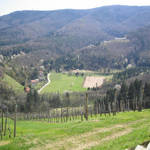 Paysages et Villes (28).JPG