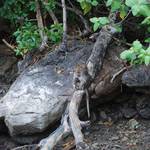 small_DSC_0308.jpg